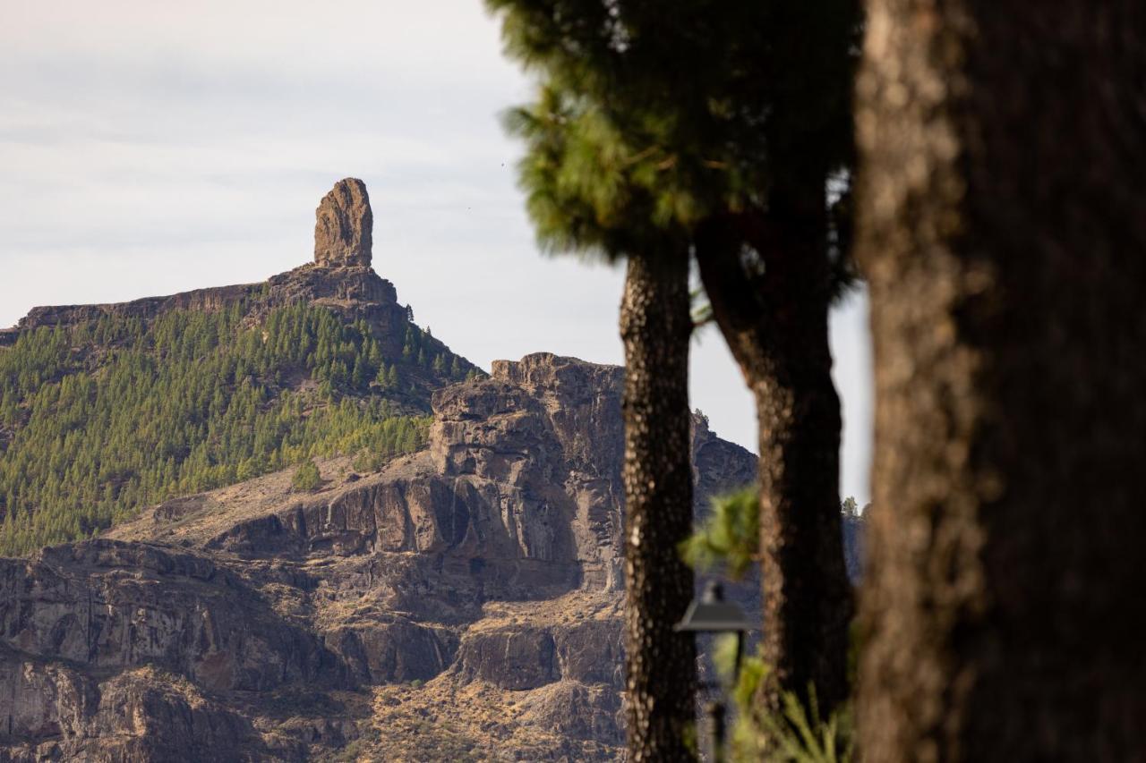 Casa Maruca With Roque Nublo View Villa Tejeda  Buitenkant foto